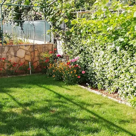 Apartman Silva Póla